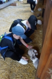 Výlet